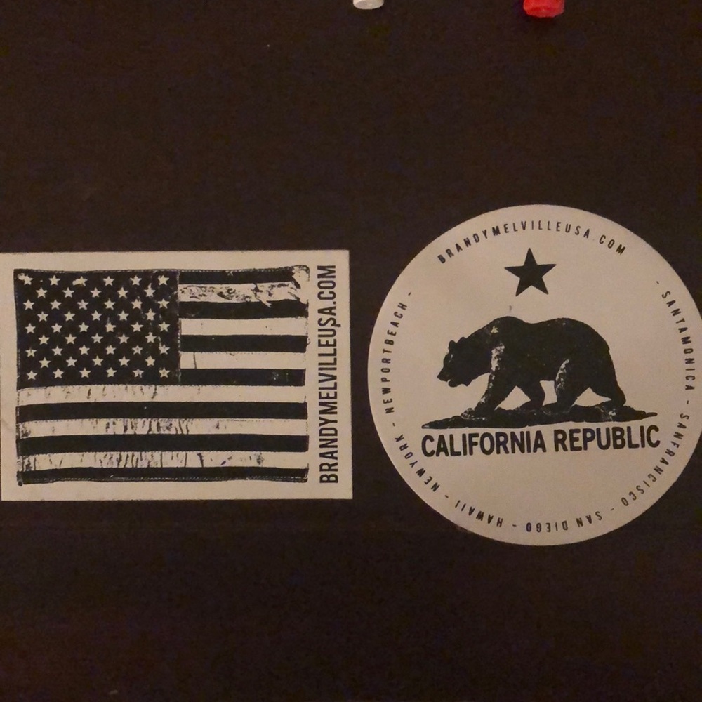Brandy Melville Sticker Back